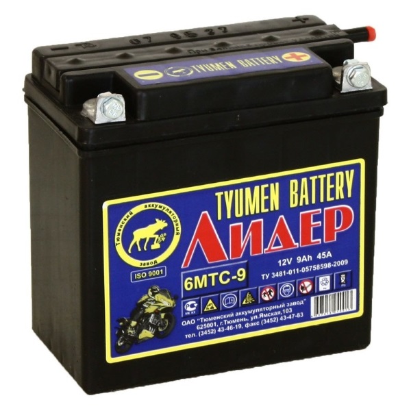 Аккумулятор Tyumen Battery 6МТС-9 Лидер (болт) сухозаряж.