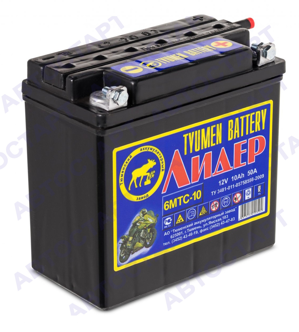 Аккумулятор Tyumen Battery 6МТС-10 Лидер (болт) сухозаряж.